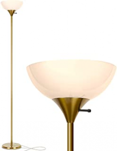 Moder LED Floor Lamp