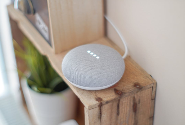 Google Smart Home Speaker